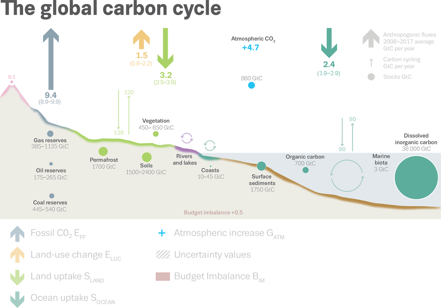 CarbonCycleSciPaperFinal.2